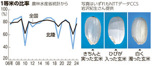 写真・図版