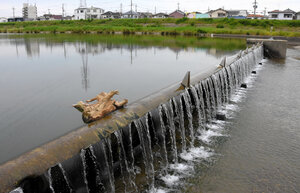 写真・図版