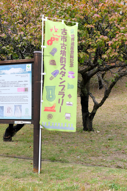 写真・図版