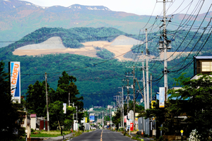 写真・図版