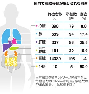 写真・図版