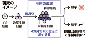 写真・図版