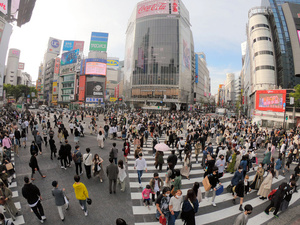 写真・図版