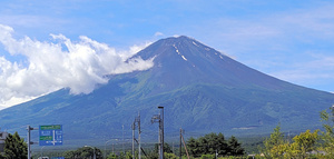 写真・図版