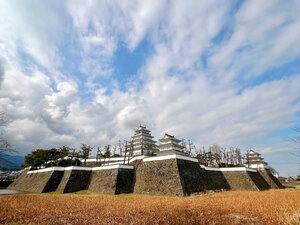 写真・図版