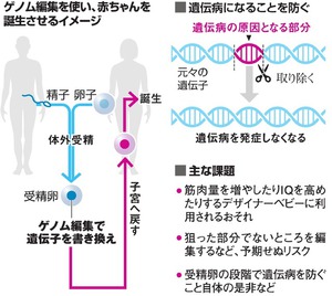 写真・図版