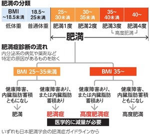 写真・図版