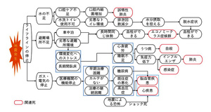 写真・図版