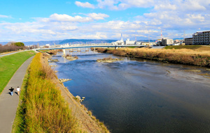 写真・図版