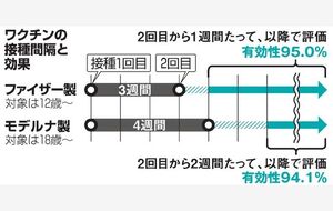 写真・図版