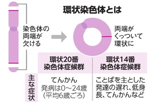 写真・図版