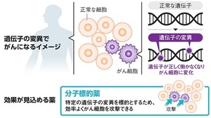 写真・図版