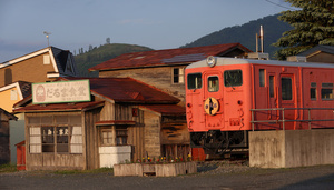 写真・図版