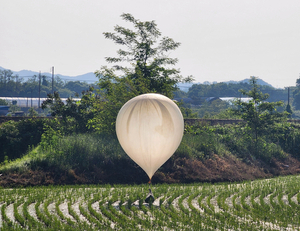 写真・図版