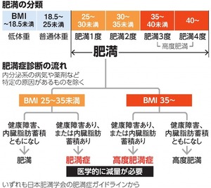 写真・図版