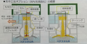 写真・図版