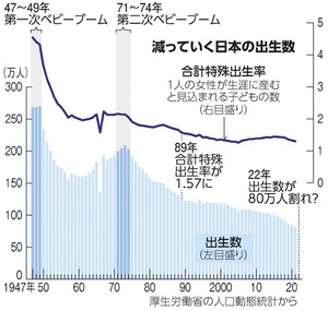 写真・図版