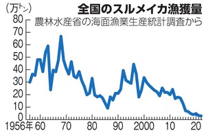 写真・図版