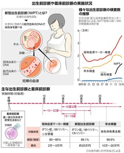 写真・図版