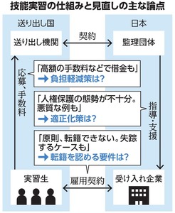 写真・図版