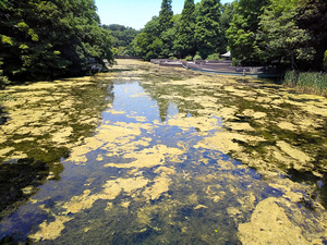 写真・図版