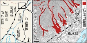 写真・図版