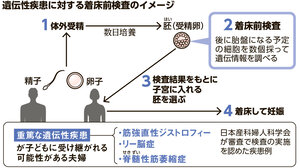 写真・図版