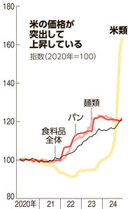 写真・図版