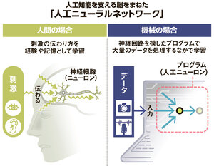 写真・図版