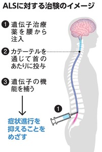 写真・図版