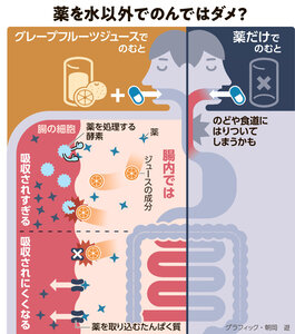 写真・図版