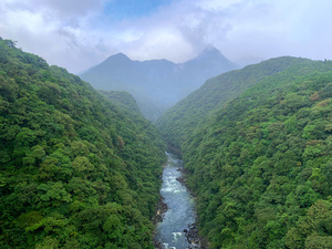 写真・図版