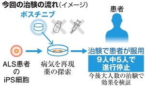 写真・図版