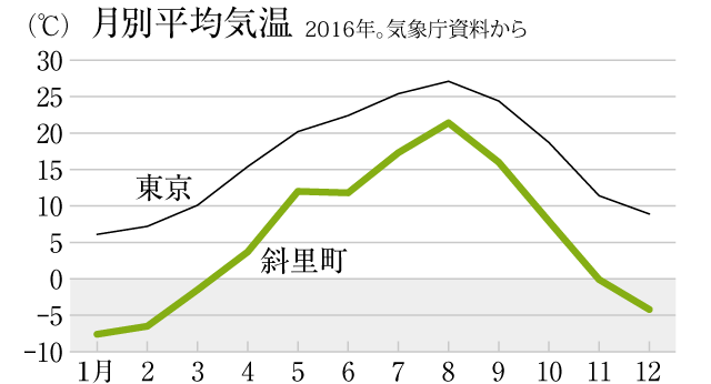 月別平均気温