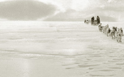 Sepia photo of a dog sled on the ice being pulled towards the horizon