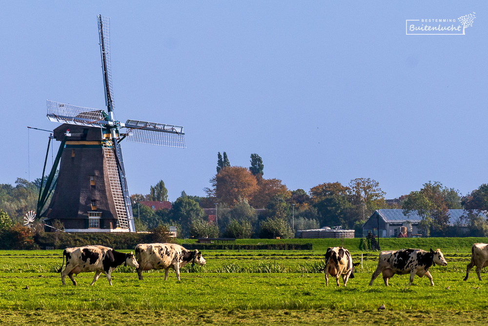 Molen van de Molenviergang