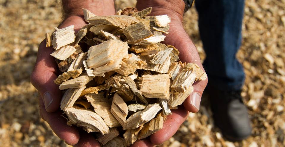 Biomass fuel includes wood, and agricultural and food processing wastes, as well as sewage sludge and animal manure.