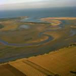 A river estuary with deposits of mud and sand around a meandering main channel, looking out to sea