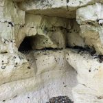 S amll cave in a white chalk cliff that has bands of flint pebbles.