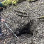 A person wearing a green hat and a blue coat standing on ground covered in leaves in front of a deep hole.