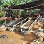 Gold mining activities (milled ore washing and sluicing) and community drinking water downslope of ASGM activities. © Maureene Auma Ondayo. 