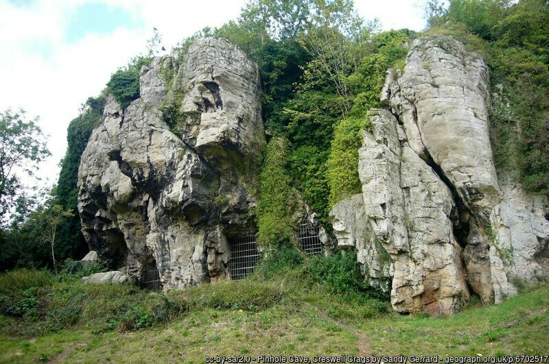 Pale cliffs above a flat grassy area with ivy and trees growing across some of them. There are several, large and small caves in the cliffs.