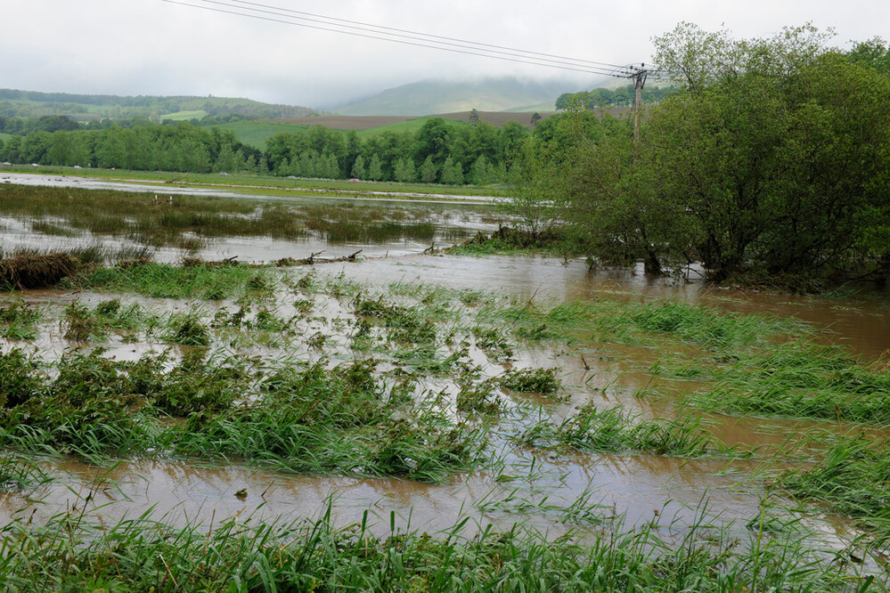 A flooded field