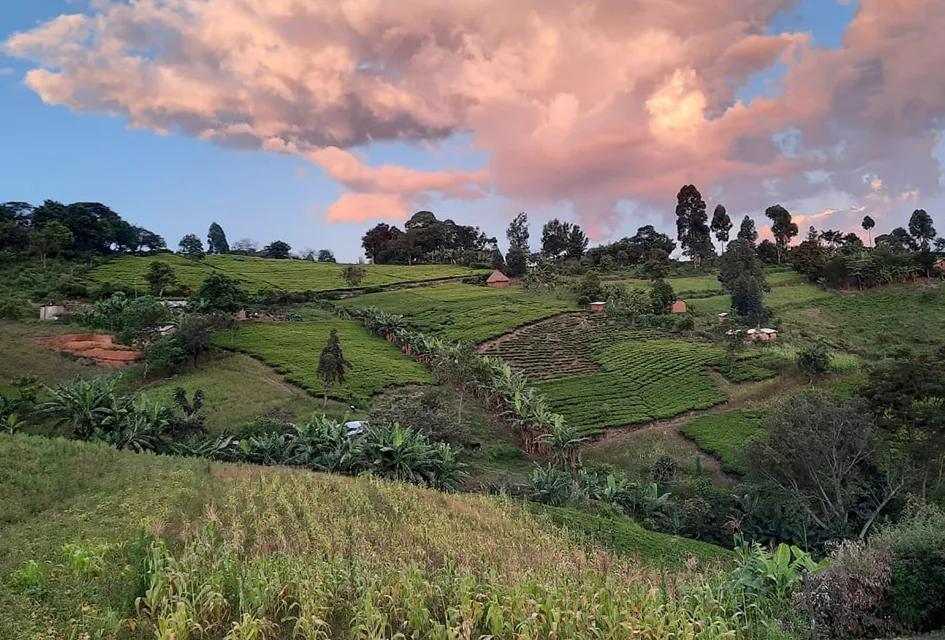 Nandi, Victoria Basin. BGS © UKRI.