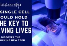 A Single Cell Could Hold The Key To Saving Lives 