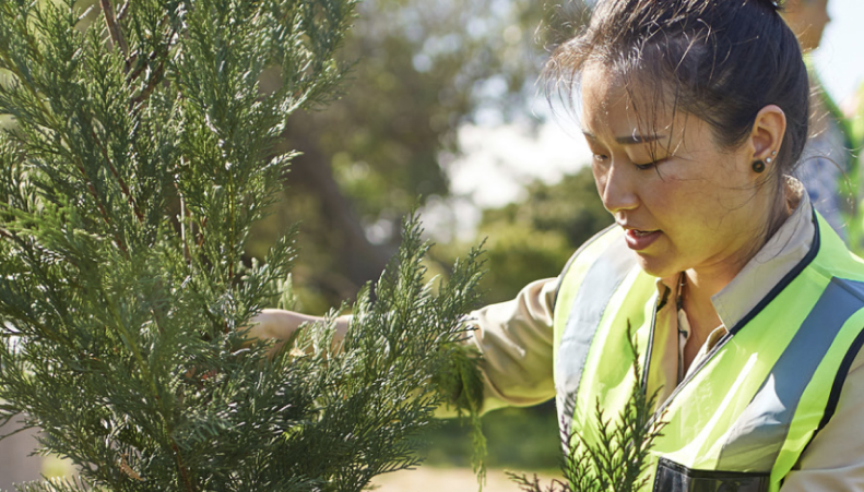 Tree worker