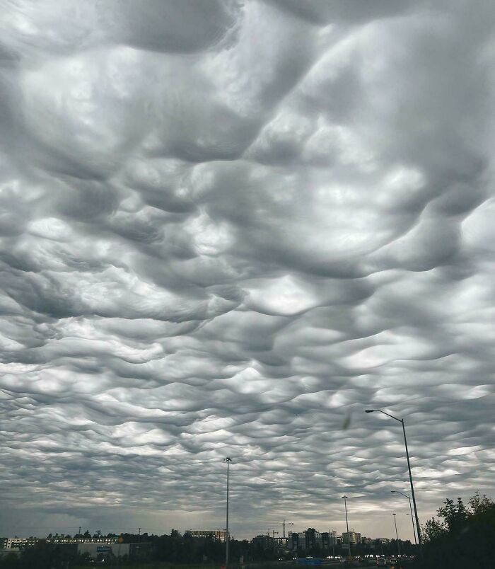 Insane Clouds