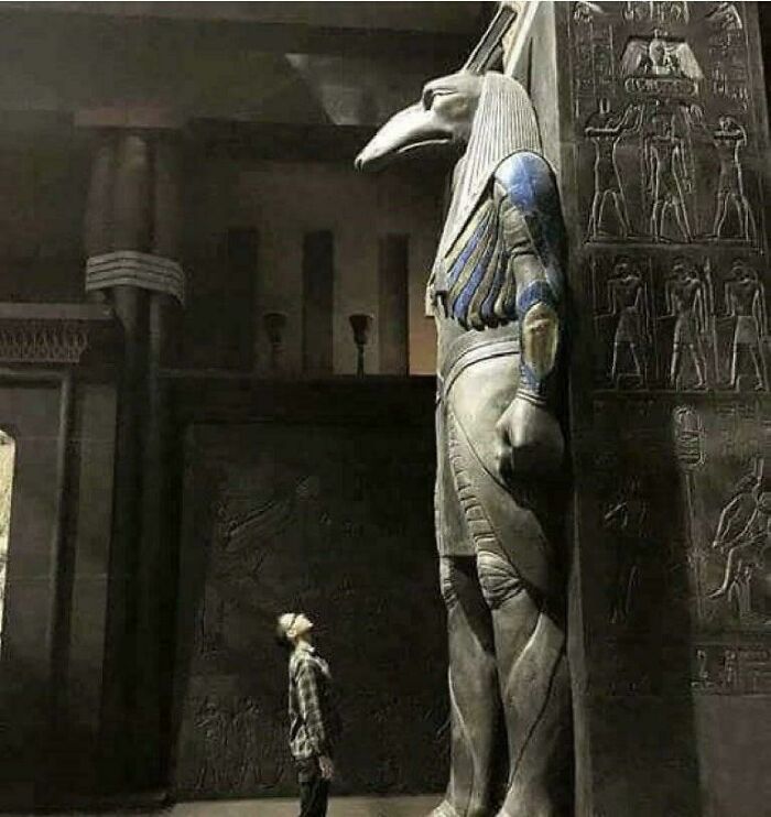 A Large Anubis Statue On Display