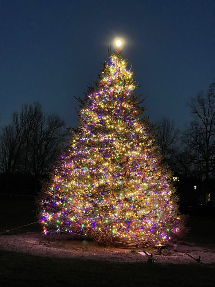 A Few Years Ago. This Is The Tree In The Eventing Field. That Isn't A Topper On The Tree, It's Actually A Full Moon