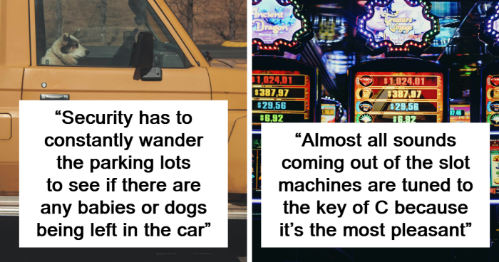 “It Was So Depressing”: 57 Casino Secrets That Might Make You Never Want To Gamble Again